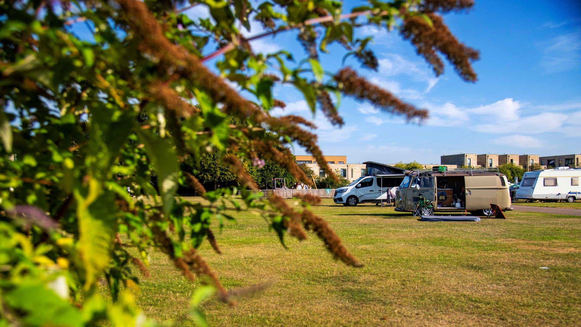 Cambridge Club Site