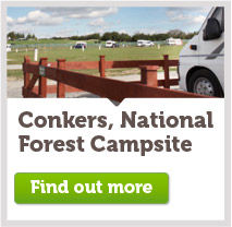 Conkers