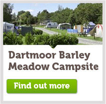 Dartmoor Barley Meadow
