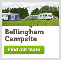 Bellingham