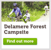 Delamere Forest