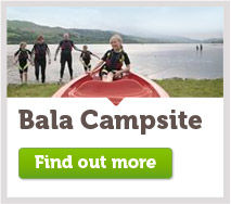 Bala