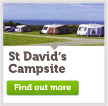 St Davids