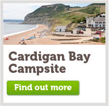 Cardigan bay