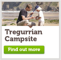 Tregurrian