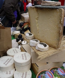 Wonderful cheeses