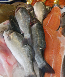 Cu Fish