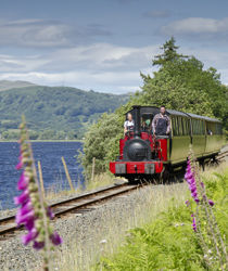 best camping site wales
 on Eat Local Wales - The Camping and Caravanning Club