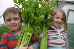Maisy and Daniel with Celery