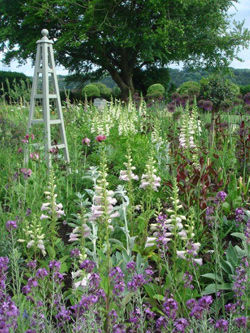 National-Gardners-Scheme-Fl