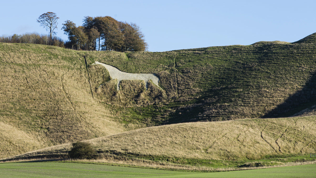 One of Britain's White Horse hill carvings