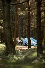 Get away at a Certificated Site