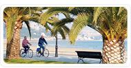 Winter Holidays from Carefree