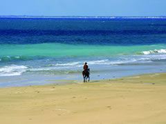 Aquitaine and French Pyrenees