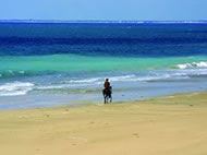 Aquitaine and French Pyrenees