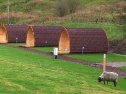 Camping Pods at Hayfield