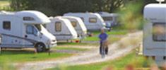 Somerset Campsites