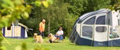 Sussex Campsites