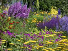 The National Gardens Scheme