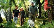 Camping in the Forest brochure