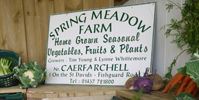 Spring Meadow Farm