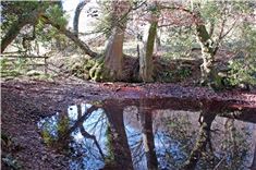Headwaters : Walking to British River Sources by Phil Clayton