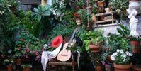 Andalucía Escorted Tour – NEW!