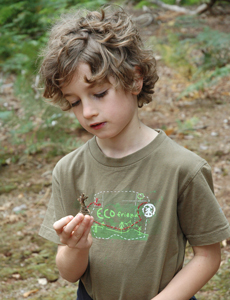 A young Elliot McGrath looks at a pine cone, a clue that a red squirrel is nearby