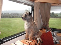 Ted looks out at the glorious West Yorkshire countryside