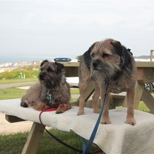 Ted and Molly in Cornwall