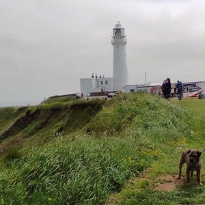 Ted enjoys a stroll to Flamborough lighthouse