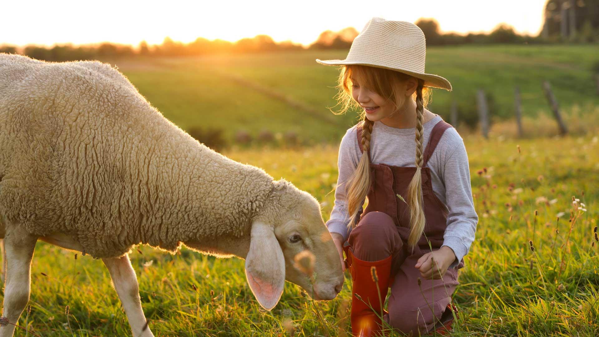 A girl with a sheep