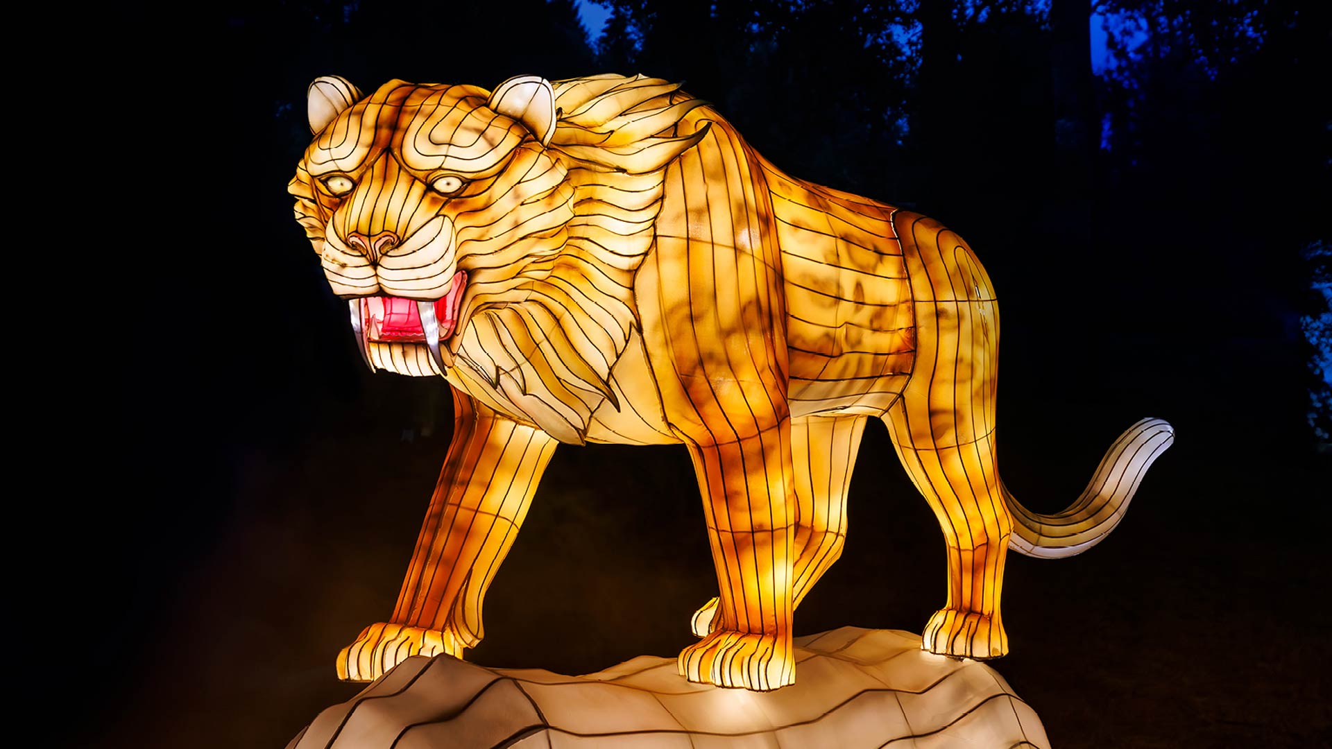 light up lion