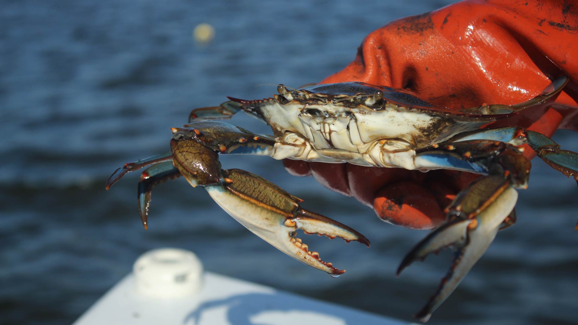 Crabbing