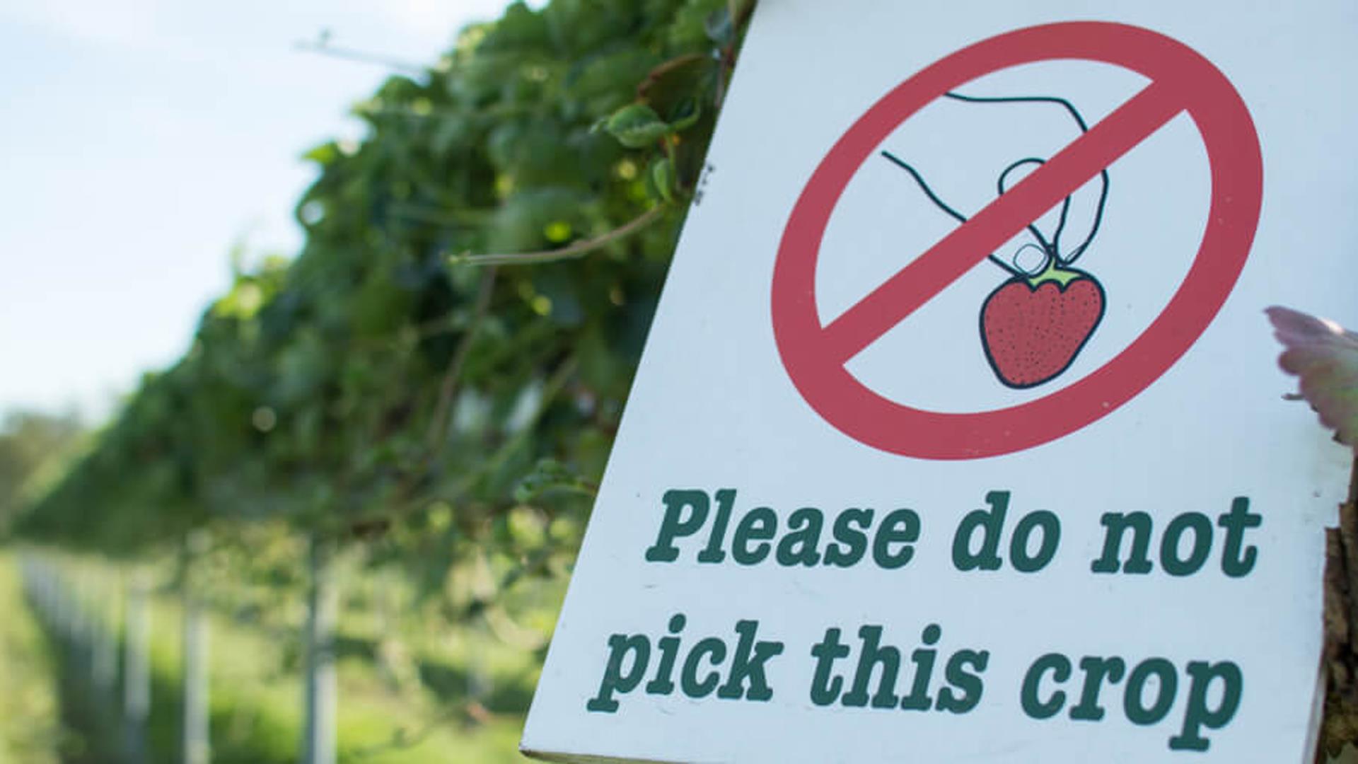 Sign to not pick crops