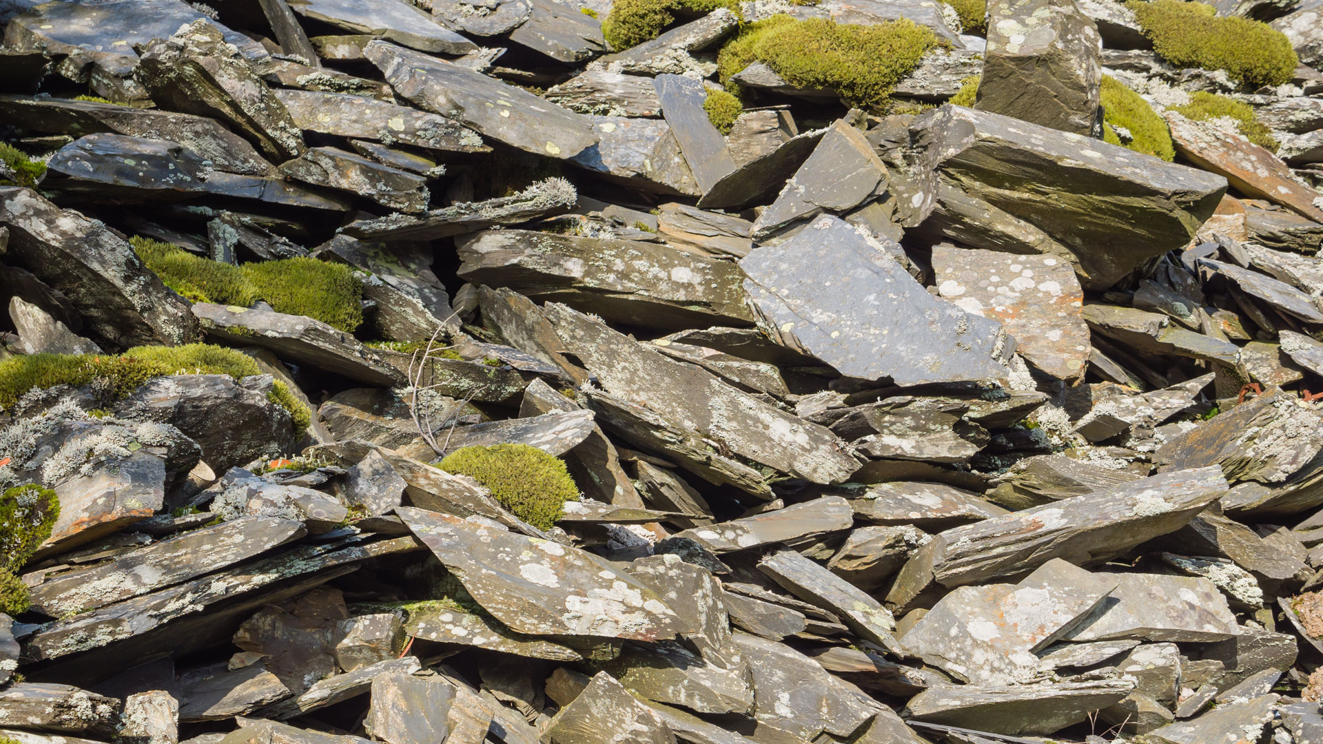 Llechwedd Slate Caverns