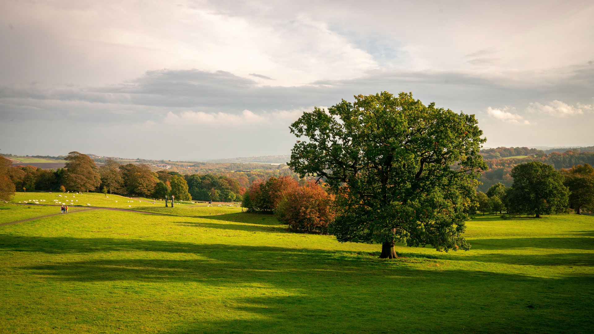 Yorkshire Sculpture Park