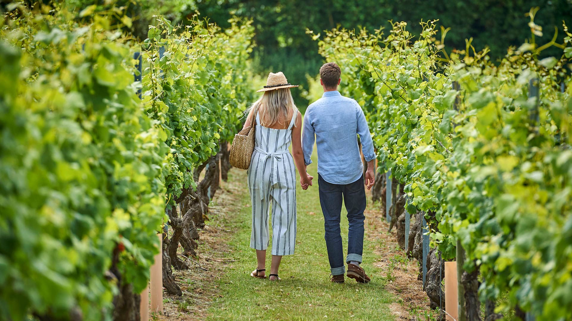 Couple walking in a vineyard
