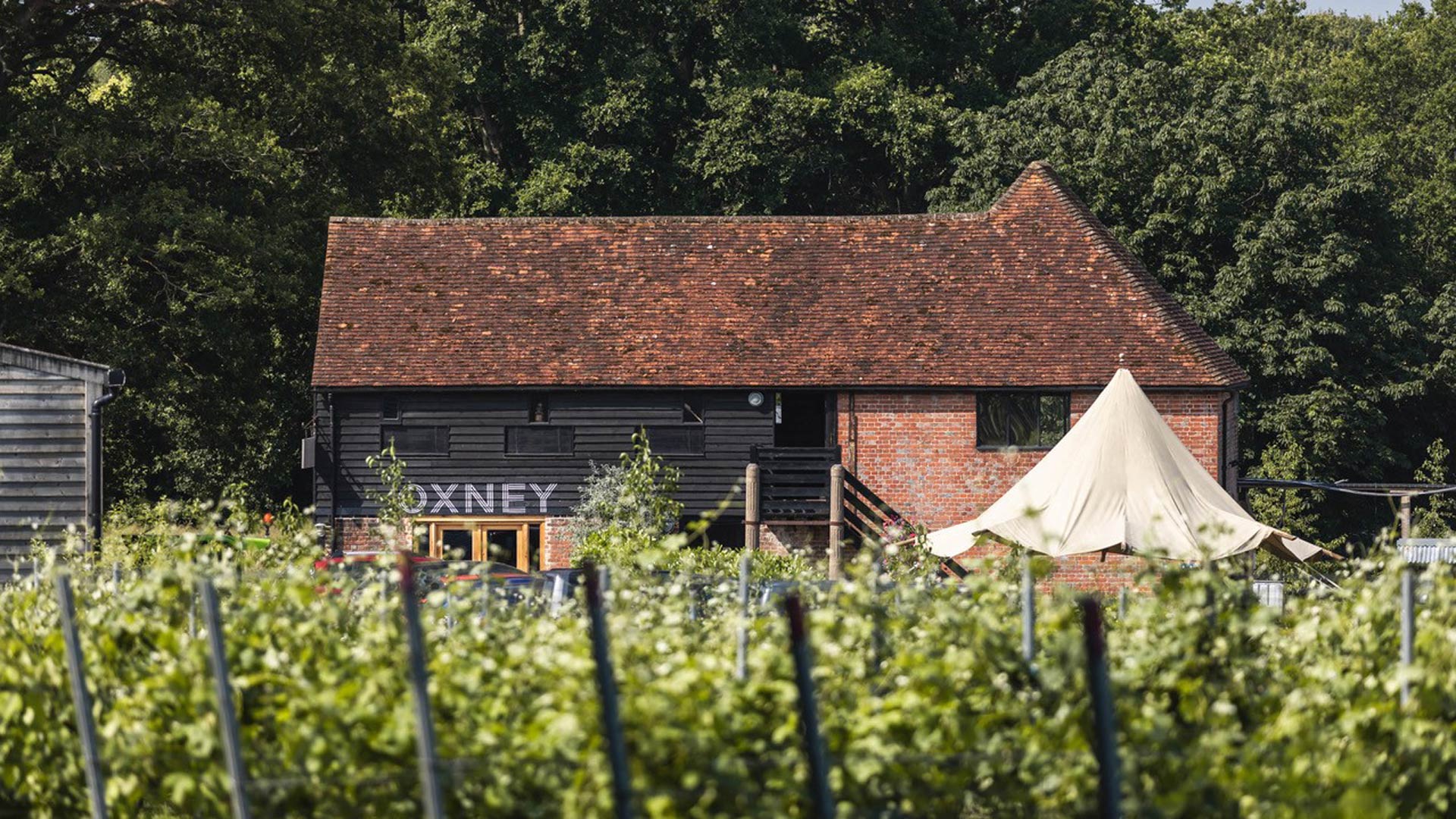 Building and vineyard