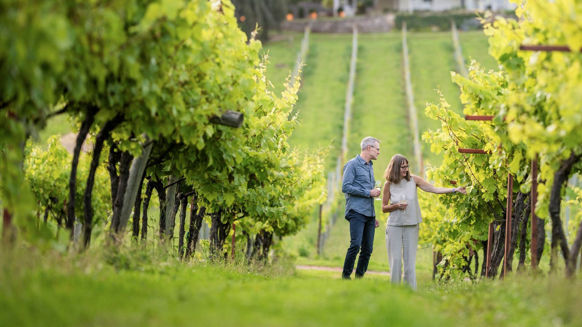 Couple at vineyard