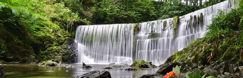 Camping with shop waterfalls near me