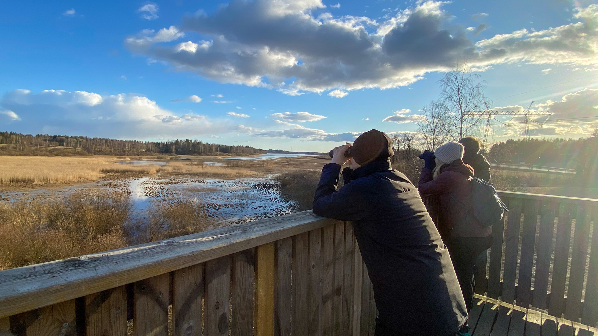 couple wildlife watching with binoculars
