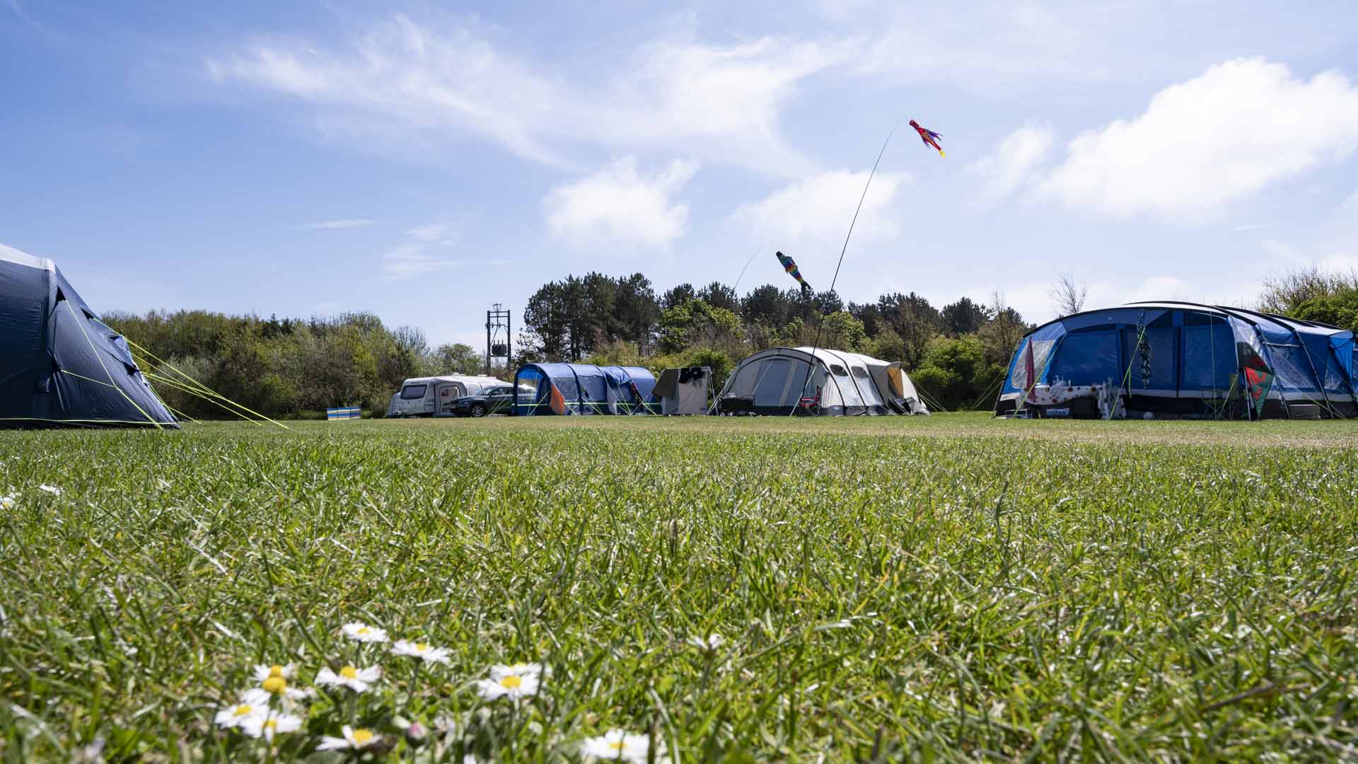 Tents pitched on grass pitches
