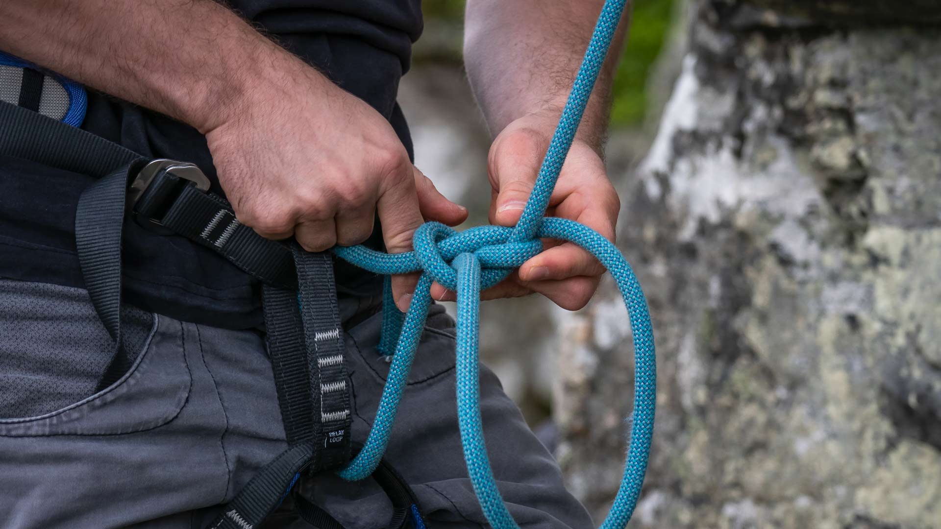 Climbing Harness