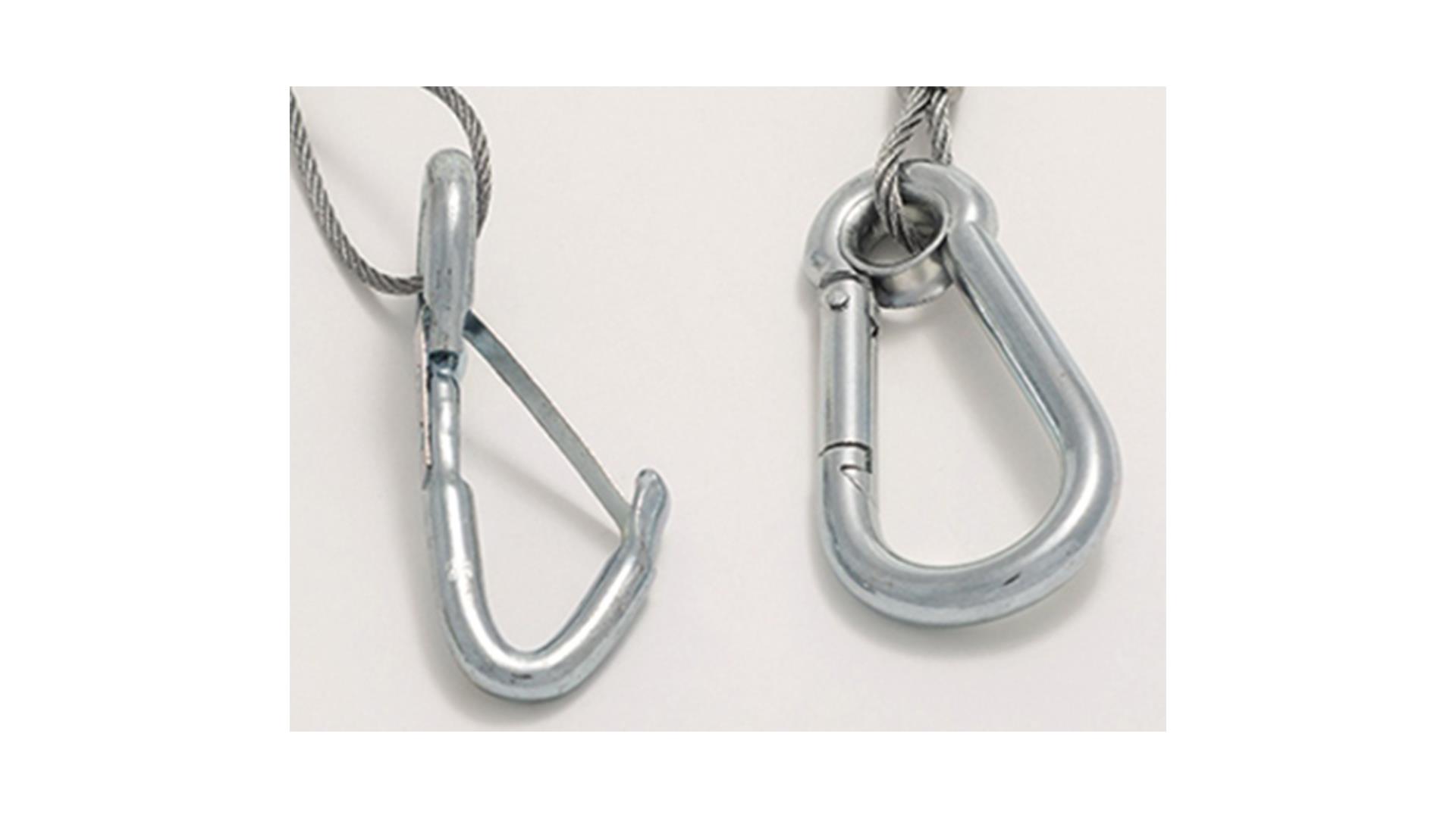Clip and carabiner 