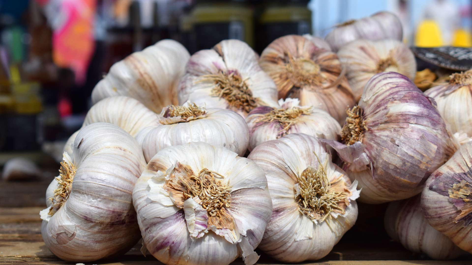 Garlic farm Isle of Wight