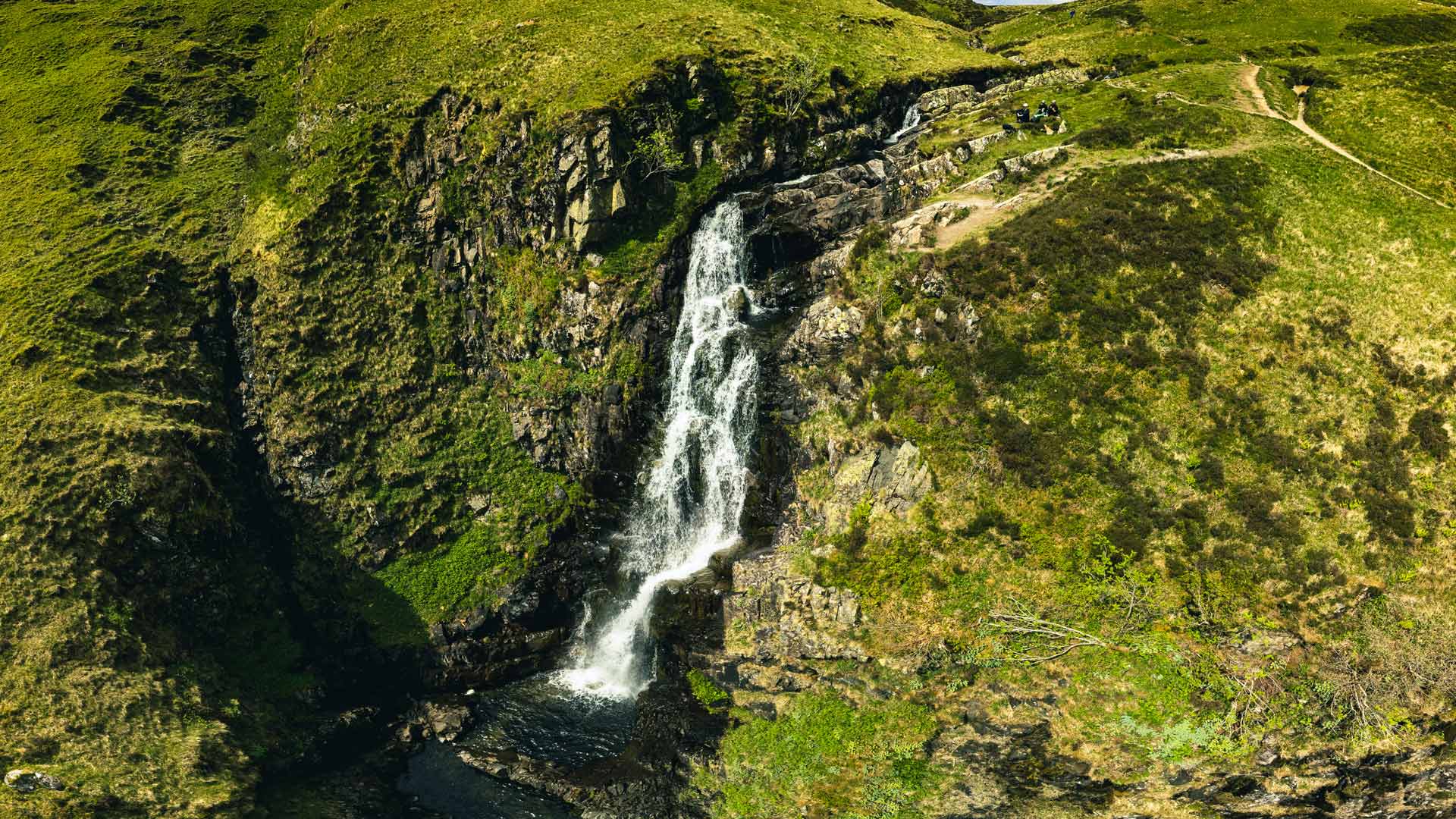 Grey Mares Tail