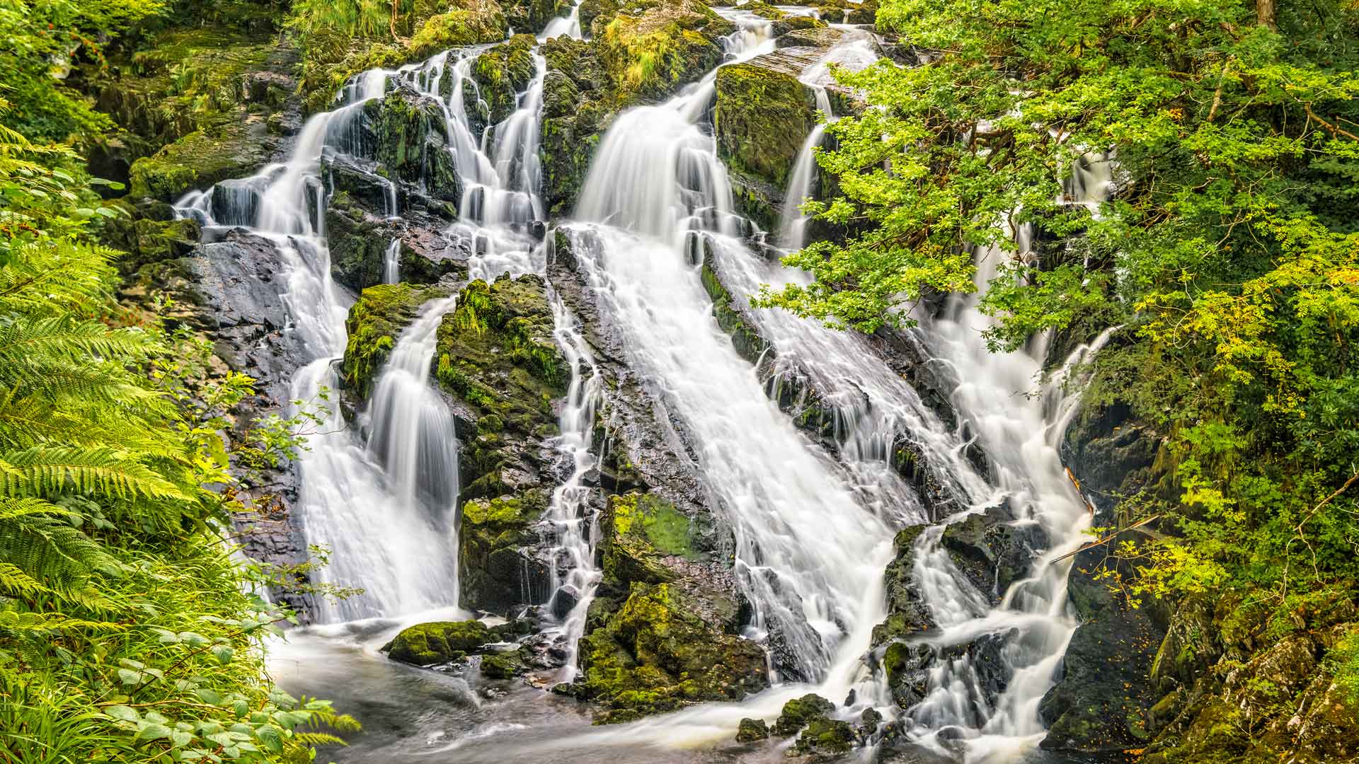 Swallow Falls 