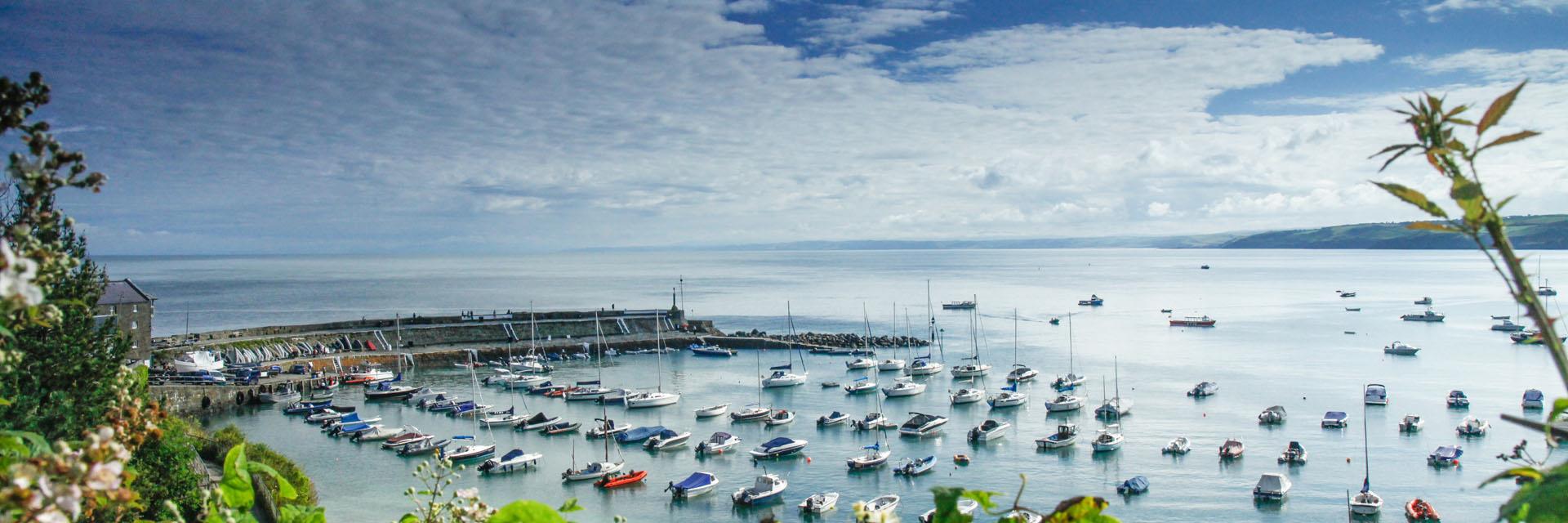 Harbour near Cardigan Bay Campsite