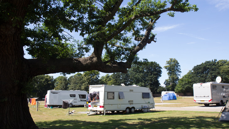 Motorhomes parked on Theobalds Park campsite